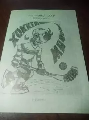 Хоккей с мячом Воткинск 1988/1999