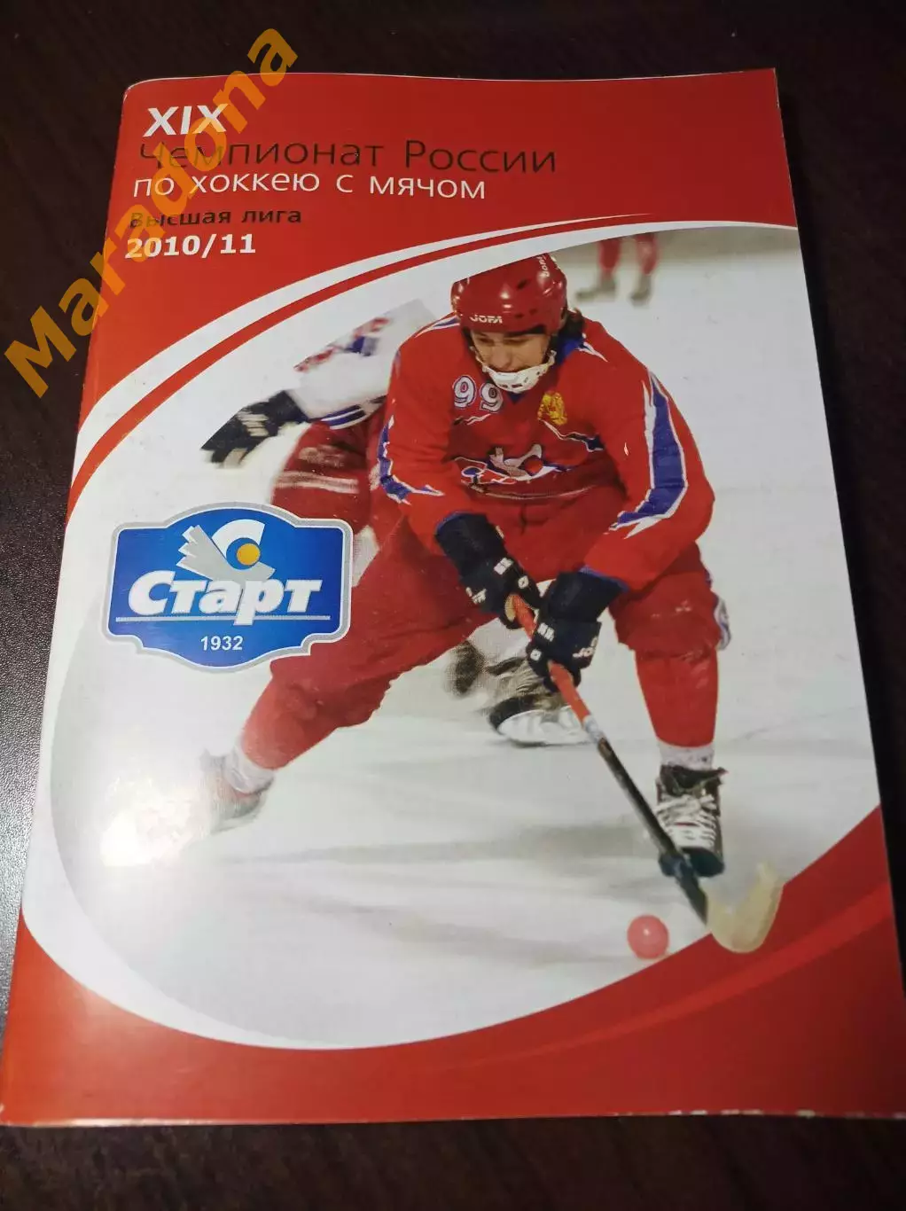 хоккей с мячом Нижний Новгород 2010/2011