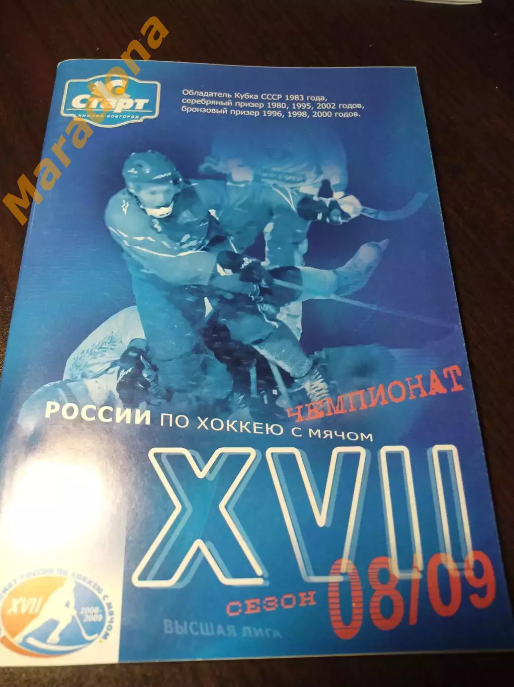 хоккей с мячом Нижний Новгород 2008/2009