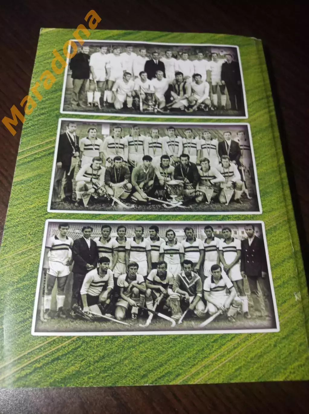 В.Лучников Золотой хет-трик летней Волги 2018 Ульяновск хоккей на траве 4