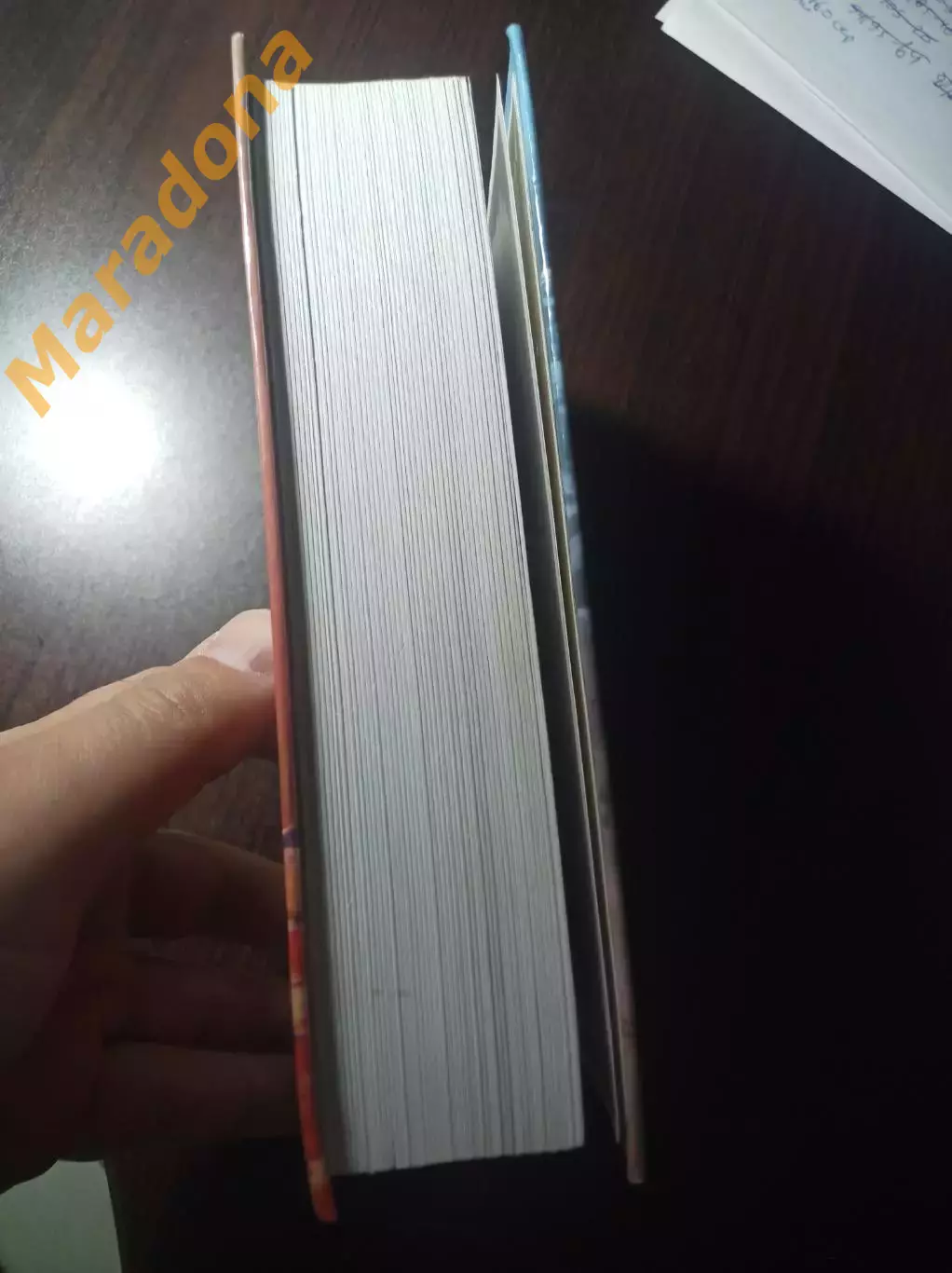 С.Юрканцев Яркий свет Маяка 2006 Краснотурьинск 5