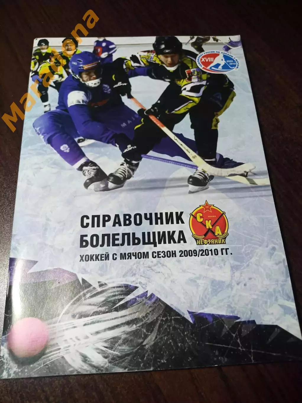 хоккей с мячом Хабаровск 2009/2010