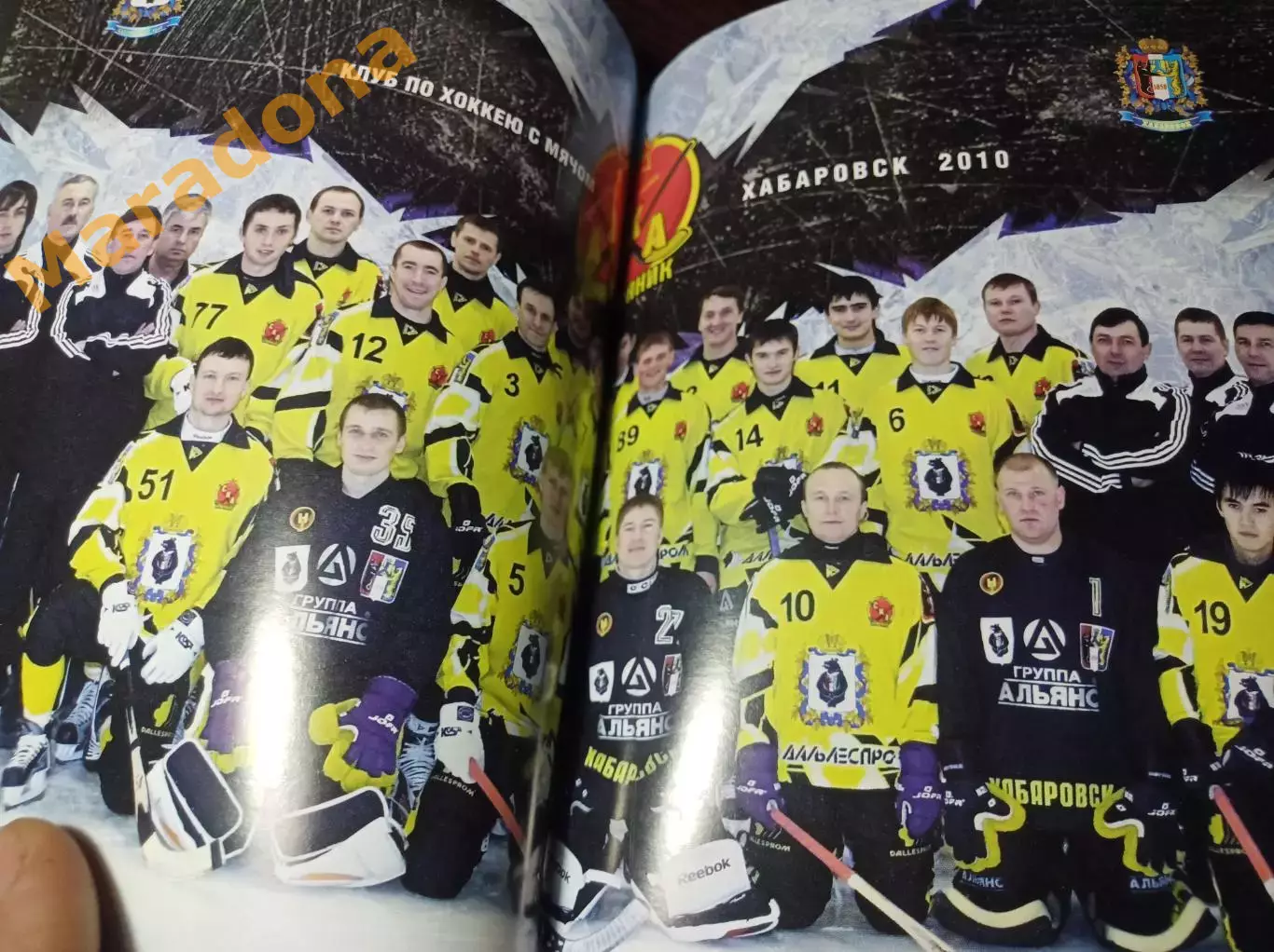 хоккей с мячом Хабаровск 2009/2010 1