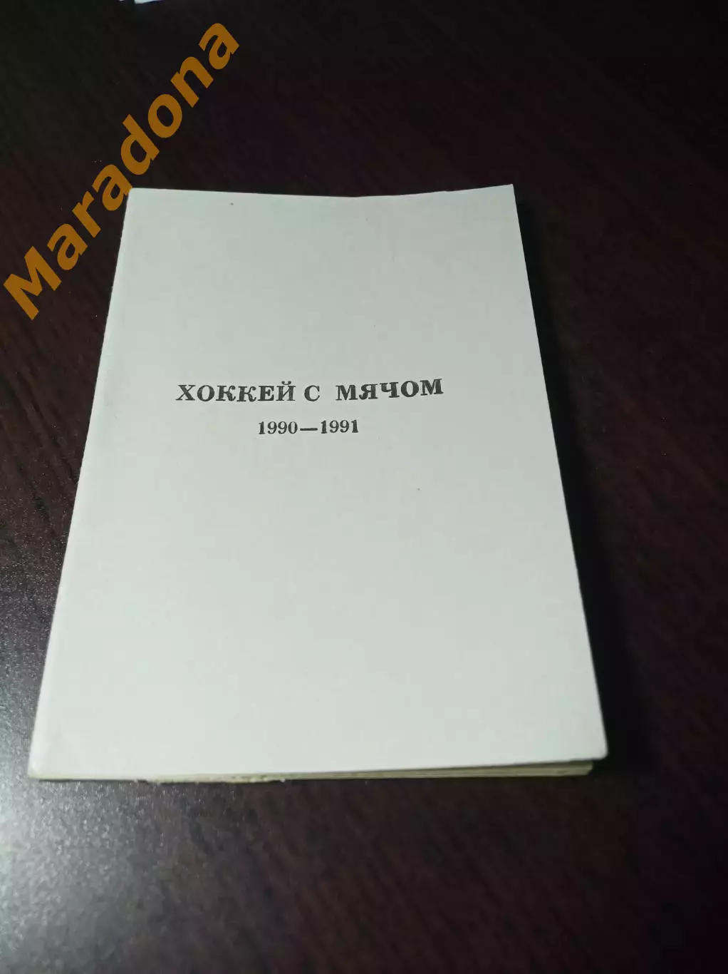 хоккей с мячом Хабаровск 1990/1991