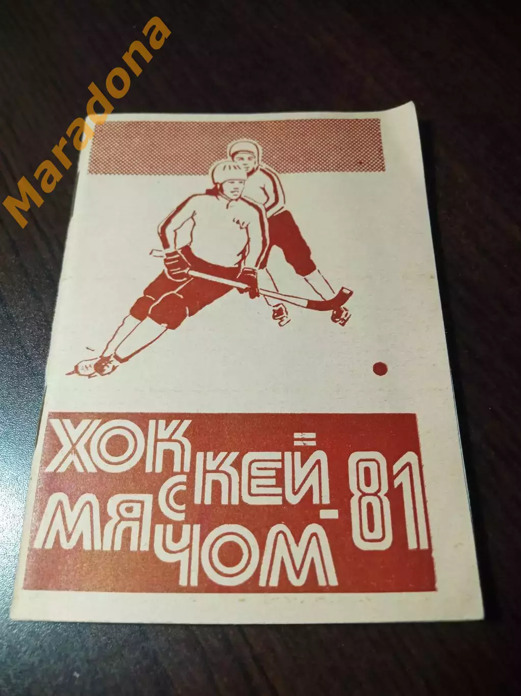 хоккей с мячом Омск 1980/1981