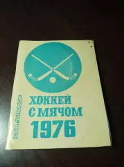 Хоккей с мячом Свердловск 1975/1976 обложка в прозрачной бумаге