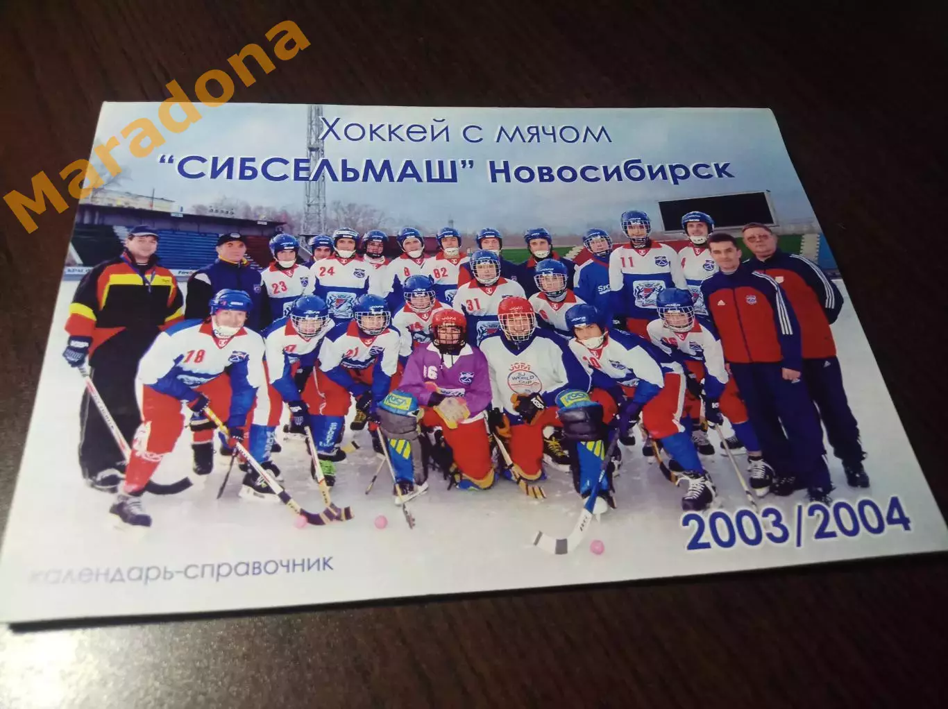 хоккей с мячом Новосибирск 2003/2004