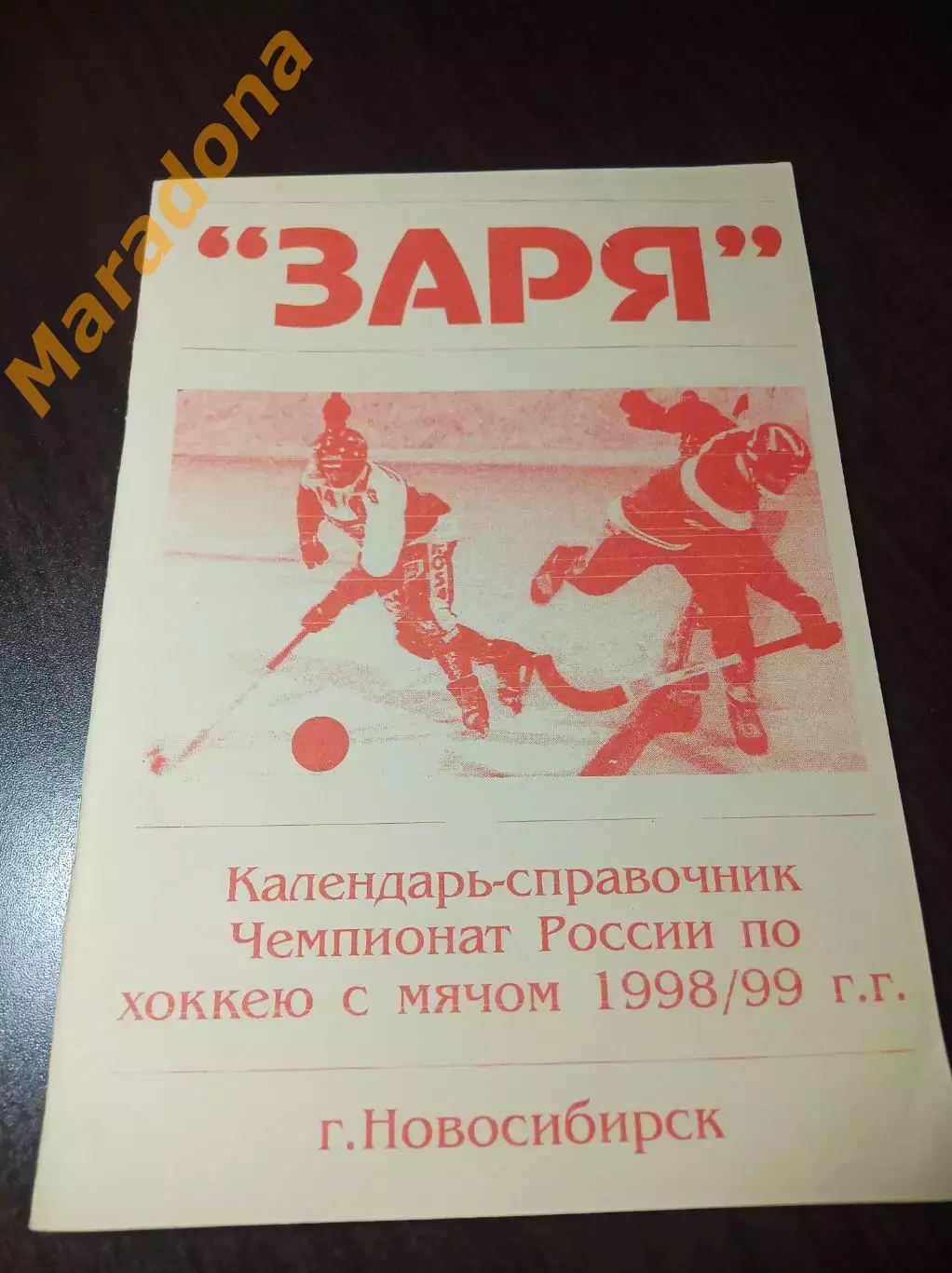 хоккей с мячом Новосибирск 1998/1999