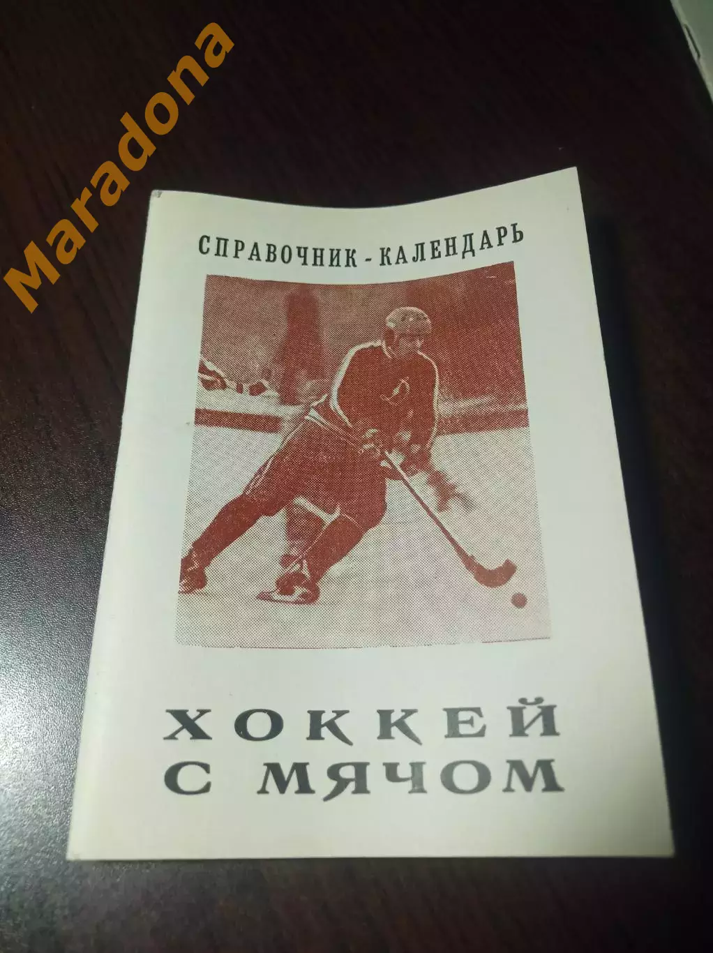 хоккей с мячом Новосибирск 1983/1984