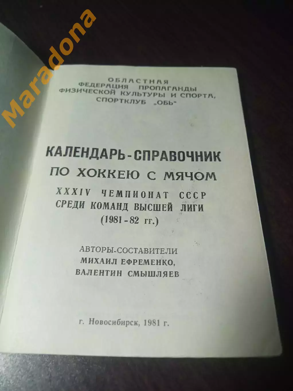 хоккей с мячом Новосибирск 1981/1982 1
