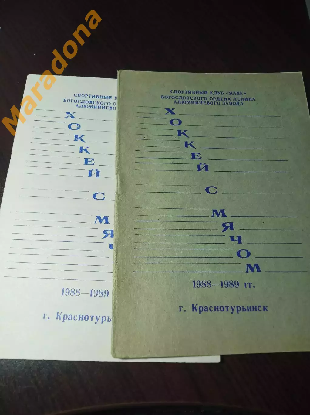 хоккей с мячом Краснотурьинск 1990/1989 белая обложка 1