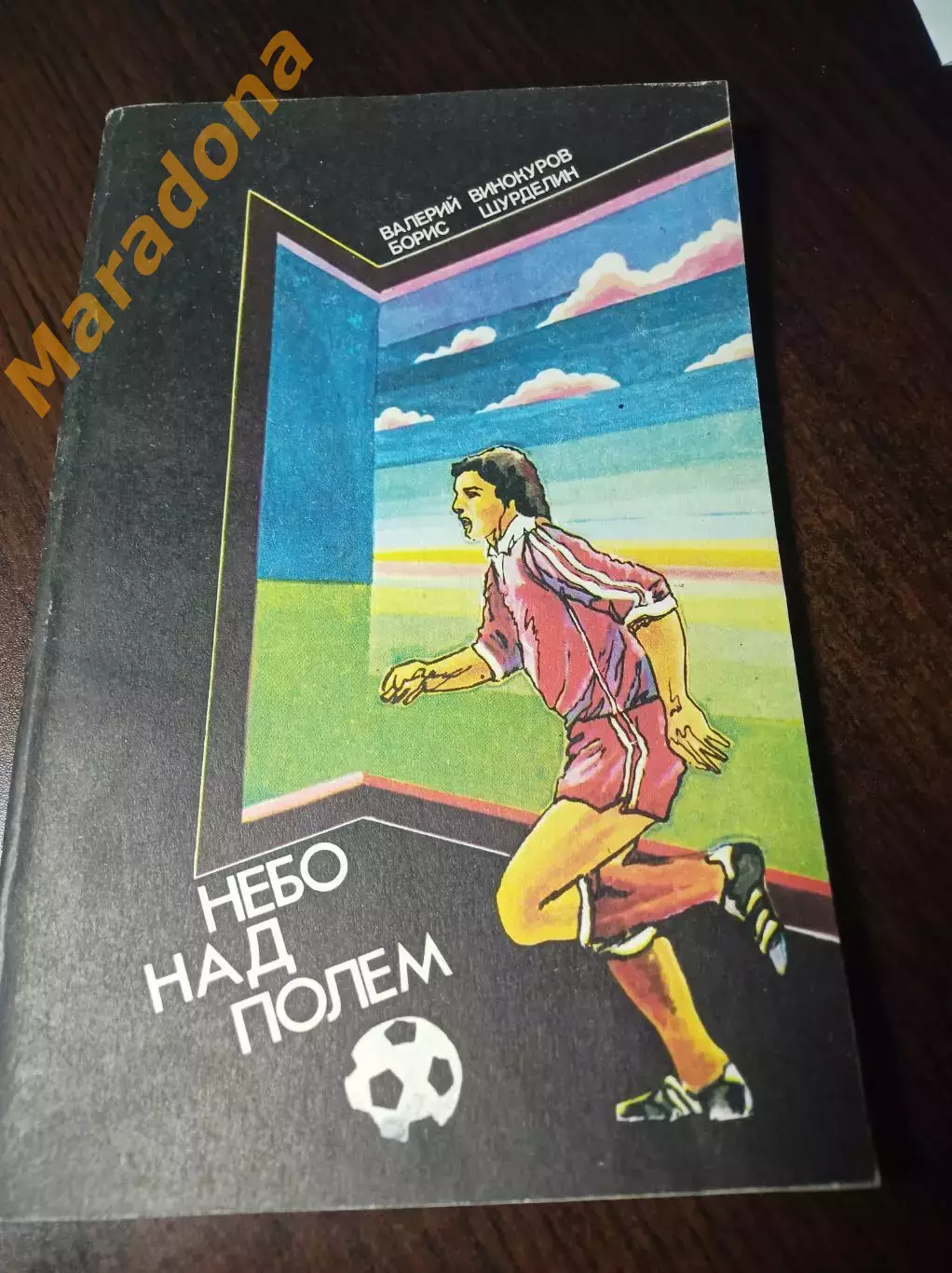 В.Винокуров Б.Шурделин Небо над полем ФИС Москва 1983