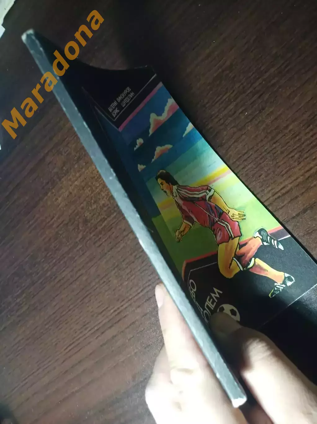 В.Винокуров Б.Шурделин Небо над полем ФИС Москва 1983 1