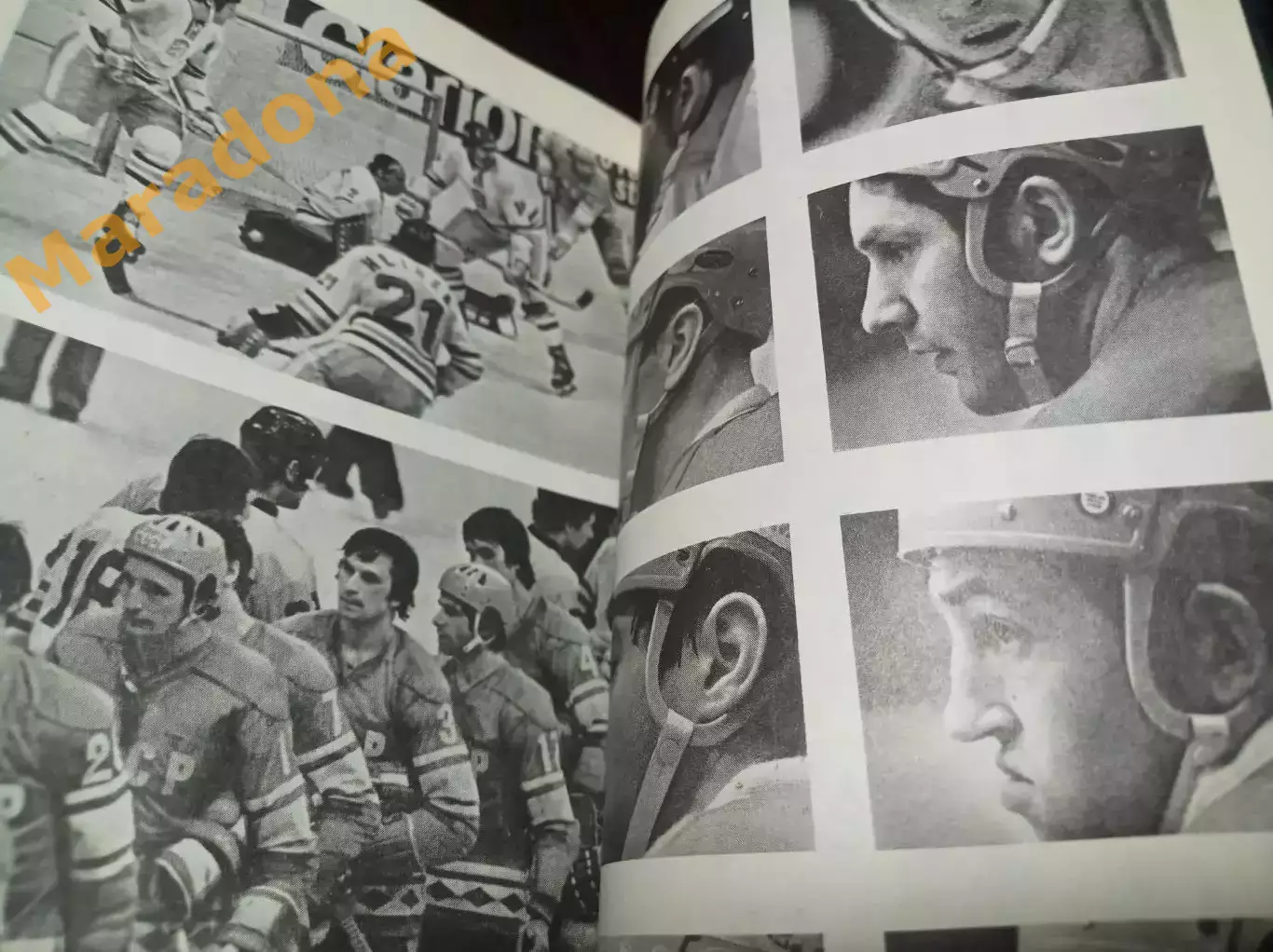 Звезды зарубежного спорта З.Журман Братья ФиС Москва 1984 3