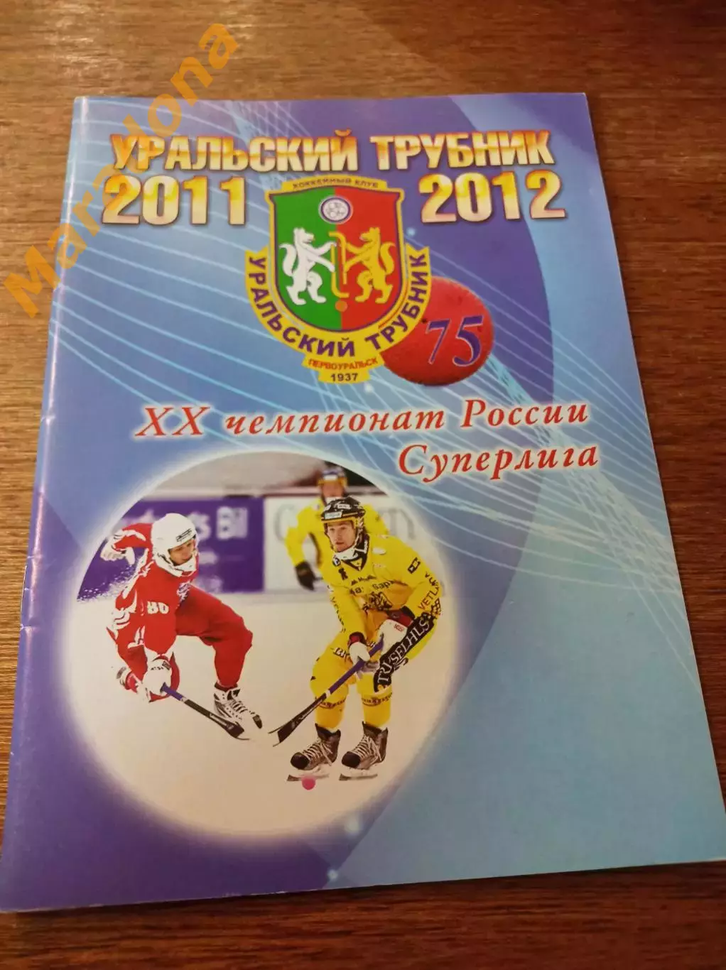 хоккей с мячом Уральский Трубник Первоуральск 2012/2013