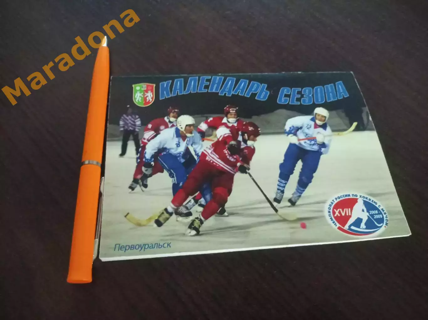 Хоккей с мячом Первоуральск 2008/2009