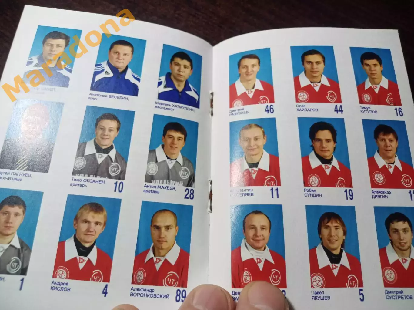 Хоккей с мячом Первоуральск 2008/2009 1