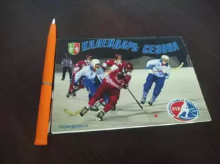 Хоккей с мячом Первоуральск 2008/2009