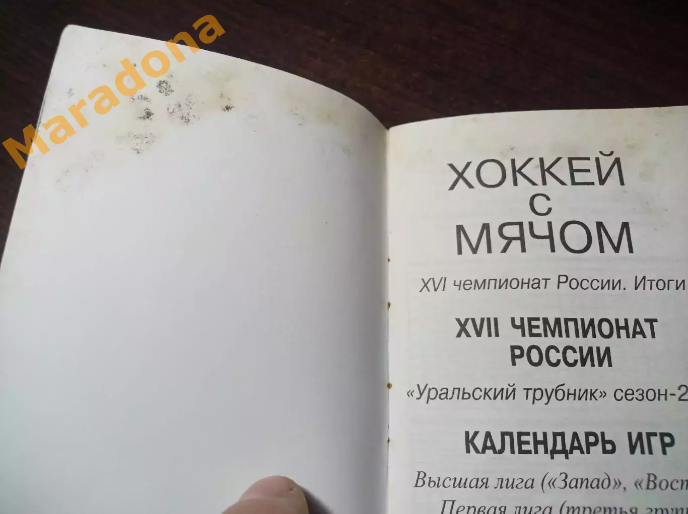 Хоккей с мячом Первоуральск 2008/2009 состояние на фото 1