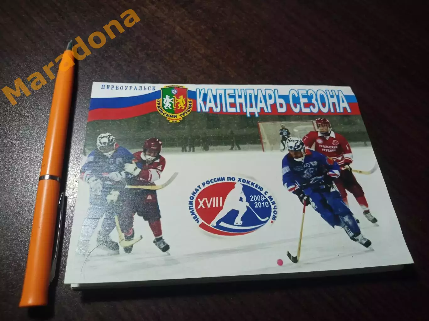 Хоккей с мячом Первоуральск 2009/2010