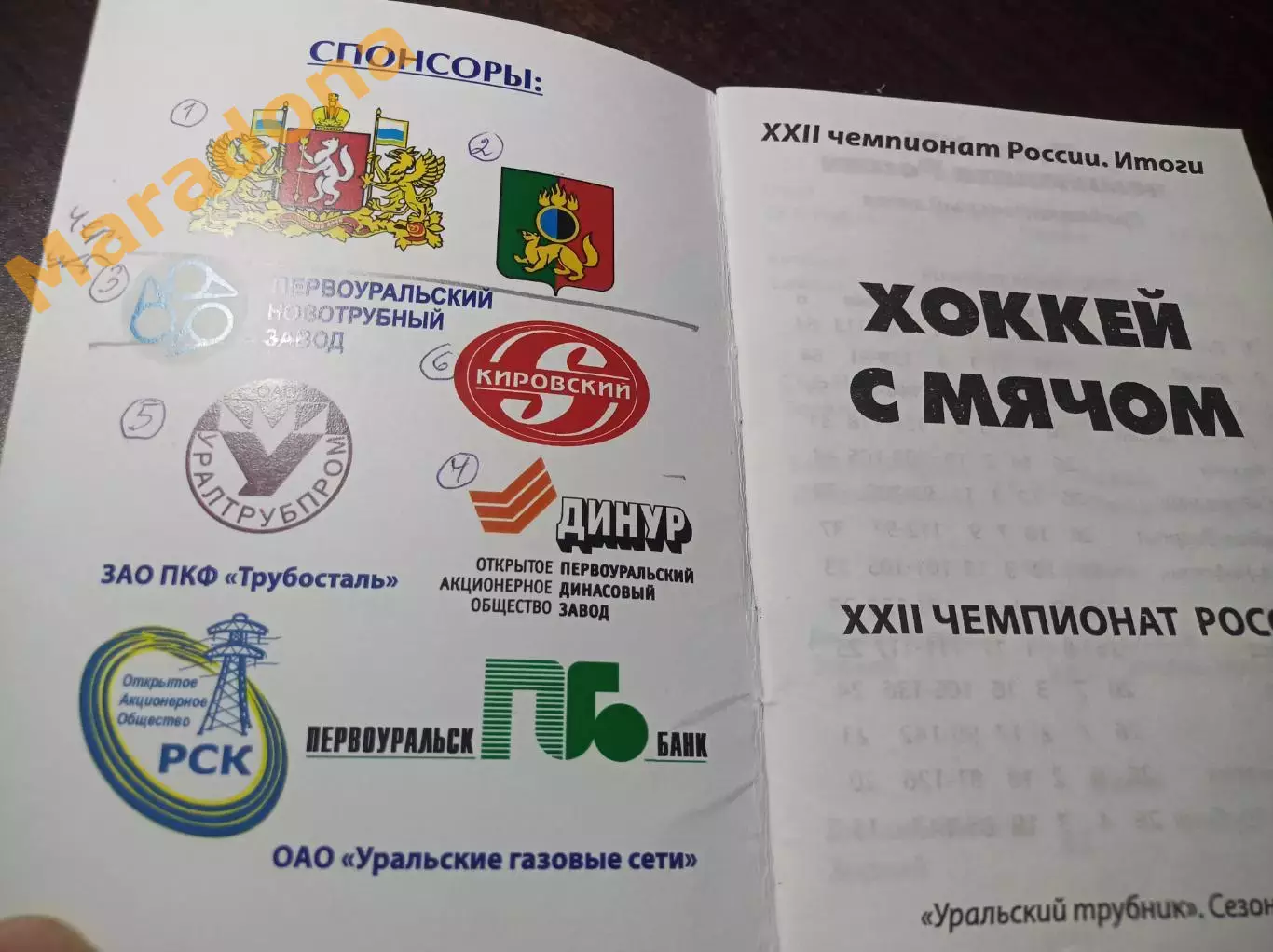 Хоккей с мячом Первоуральск 2013/2014 печатный пробник 1