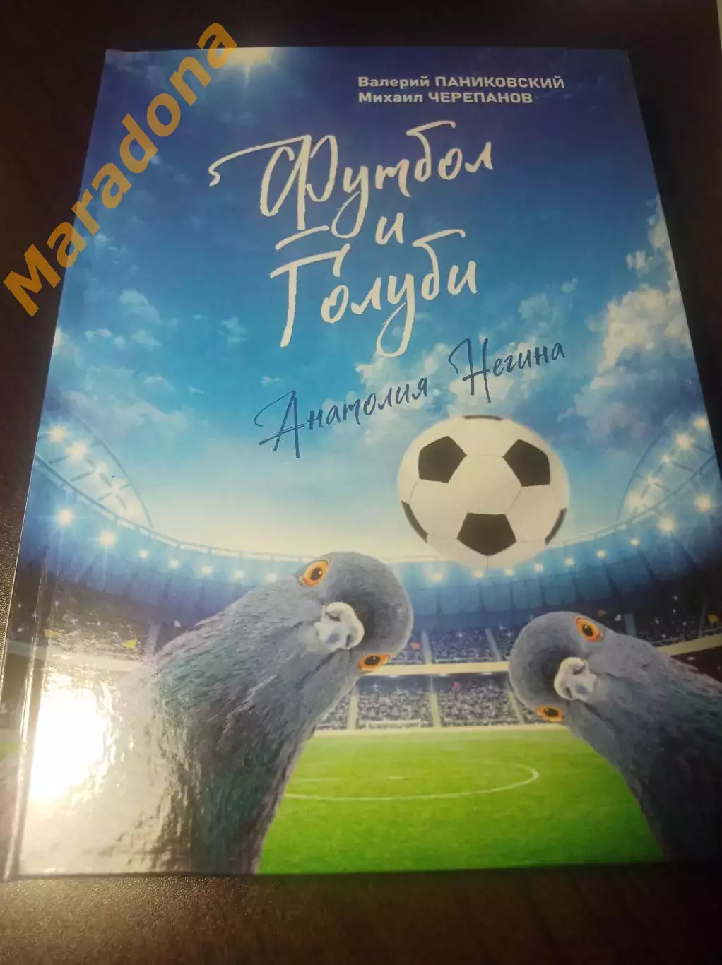 В.Паниковский М.Черепанов Футбол и голуби Курган 2024