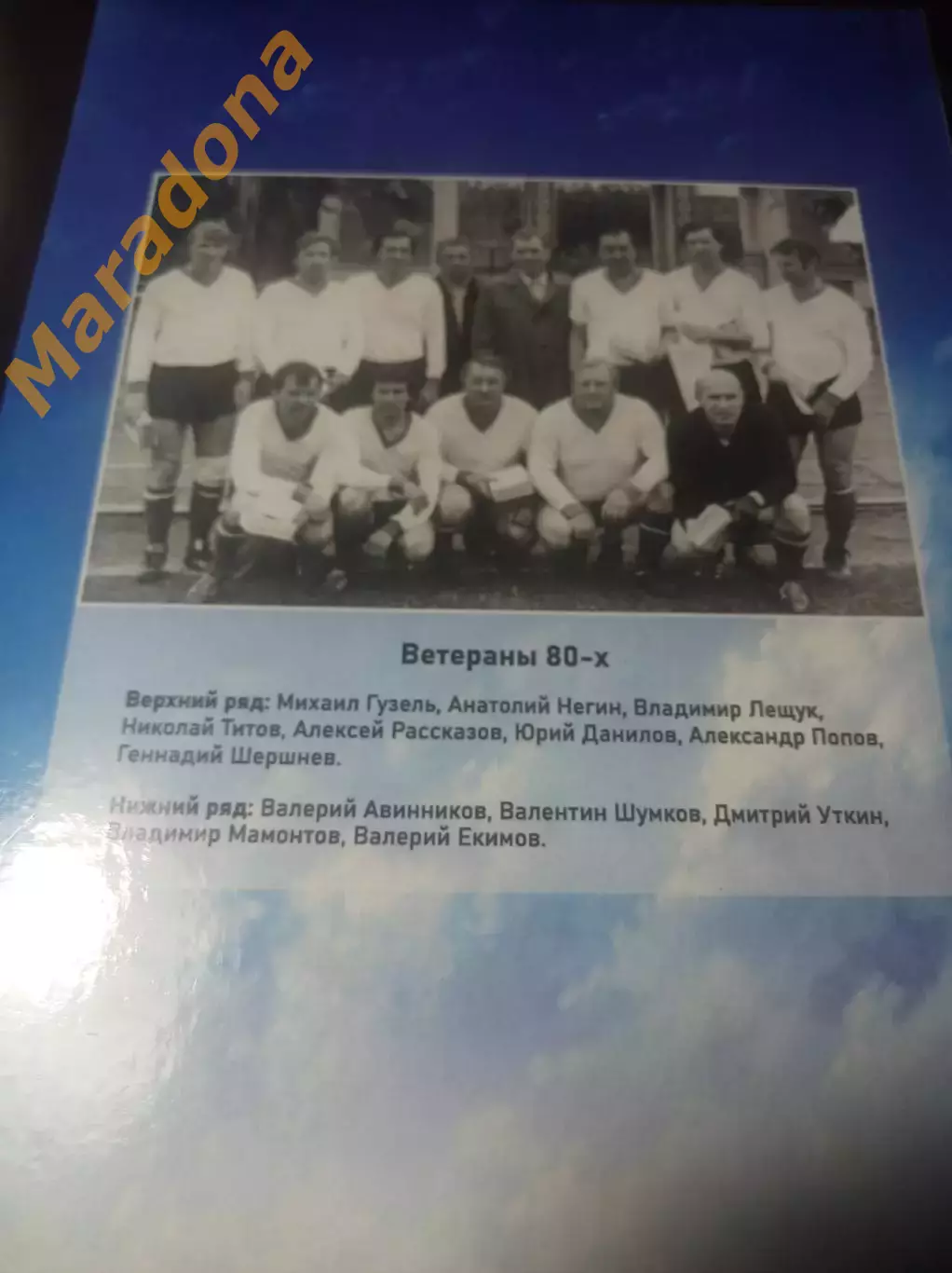 В.Паниковский М.Черепанов Футбол и голуби Курган 2024 1