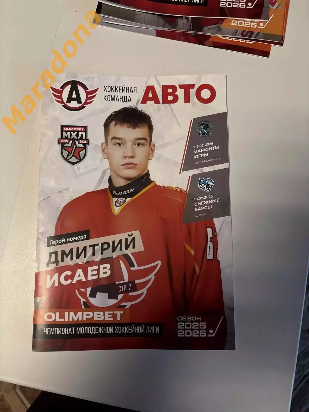 Авто Екатеринбург - Мамонты Югры Ханты-Мансийск+Снежные Барсы Астана 2025/2026