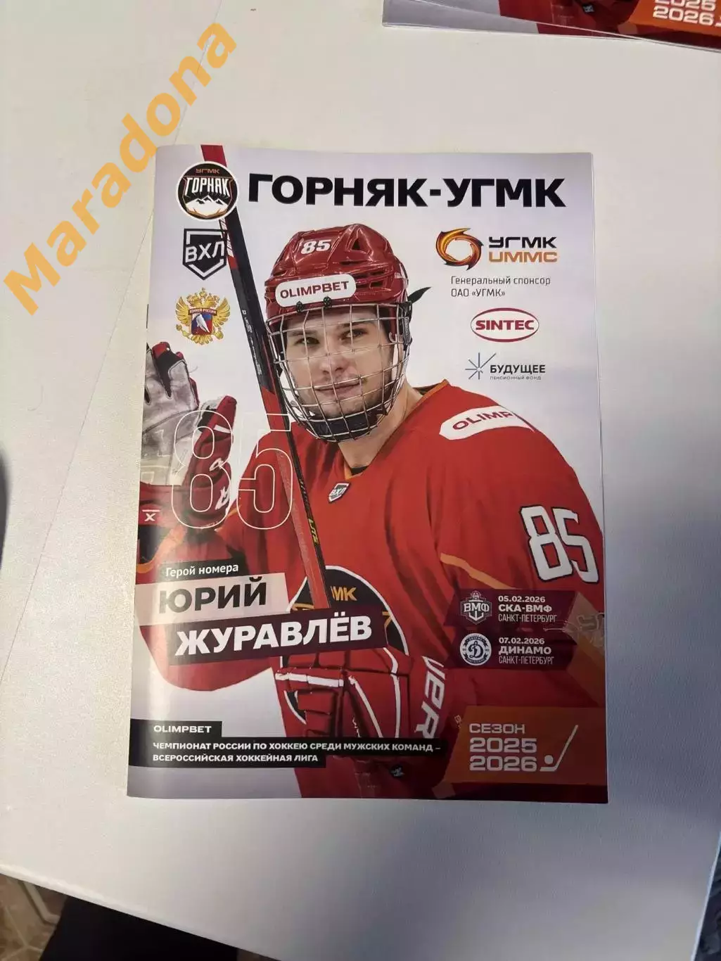 Горняк-УГМК Верхняя Пышма - СКА-ВМФ + Динамо Санкт-Петербург 2025/2026