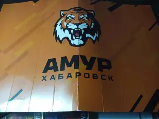 _ Трещетка Хлопушка Амур Хабаровск 2023/2024Амурские Тигры