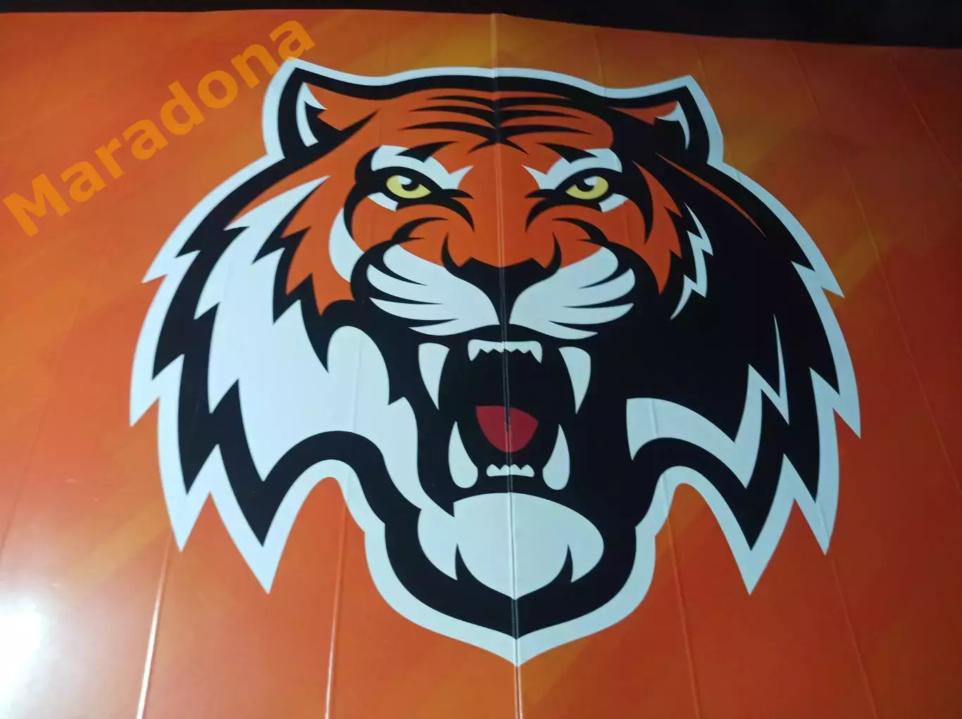 _ Трещетка Хлопушка Амур Хабаровск 2022/2023 Амурские Тигры