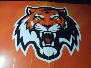 _ Трещетка Хлопушка Амур Хабаровск 2022/2023 Амурские Тигры