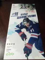 _ Нефтехимик - Трактор Челябинск+Сибирь Новосибирск+Торпедо Н.Новгород 2020/2021