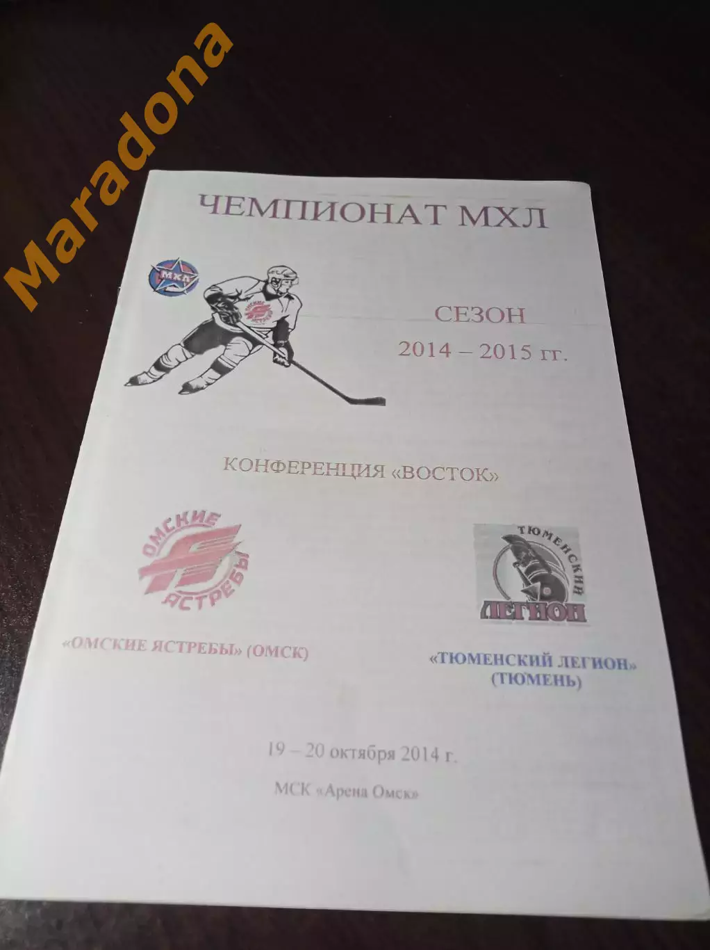 _ Омские Ястребы Омск - Тюменский Легион Тюмень 2014/2015