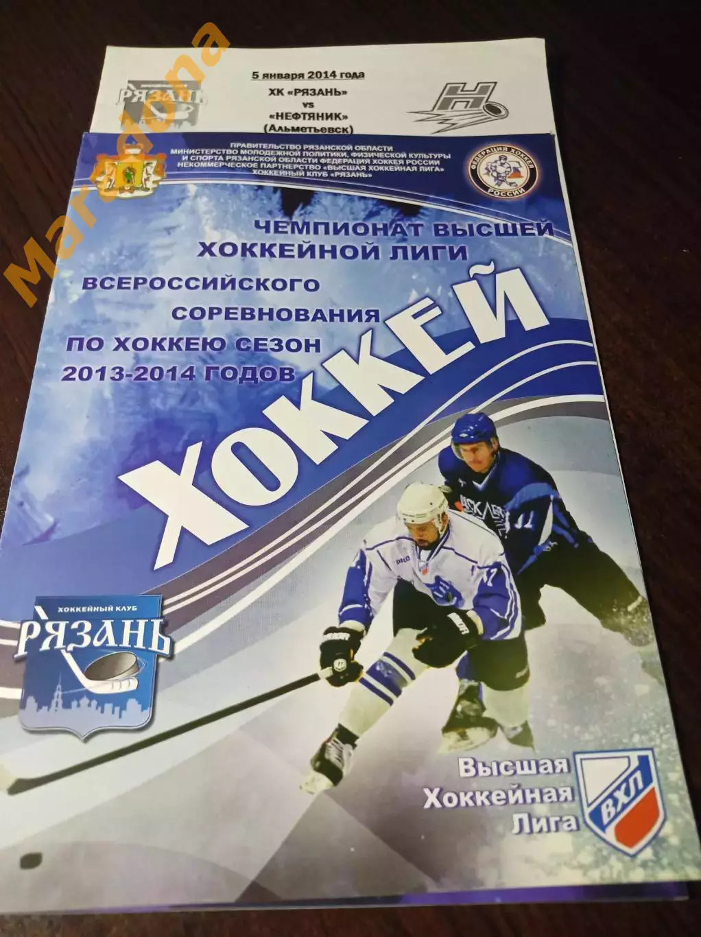 _ Рязань - Нефтяник Альметьевск 2013/2014