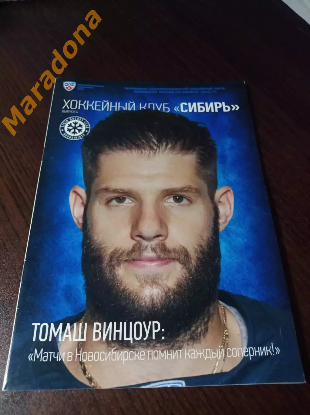 _ Сибирь Новосибирск - Адмирал Владивосток + Амур Хабаровск 2015/2016