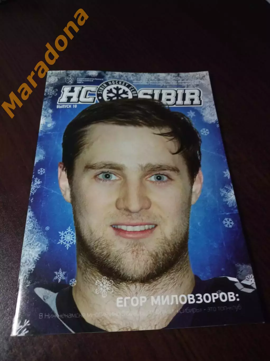 _ Сибирь Новосибирск - Локомотив Ярославль + Динамо Москва + Витязь 2016/2017