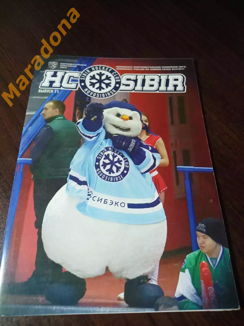 _ Сибирь Новосибирск - Адмирал Владивосток + Амур Хабаровск + Куньлунь 2016/2017