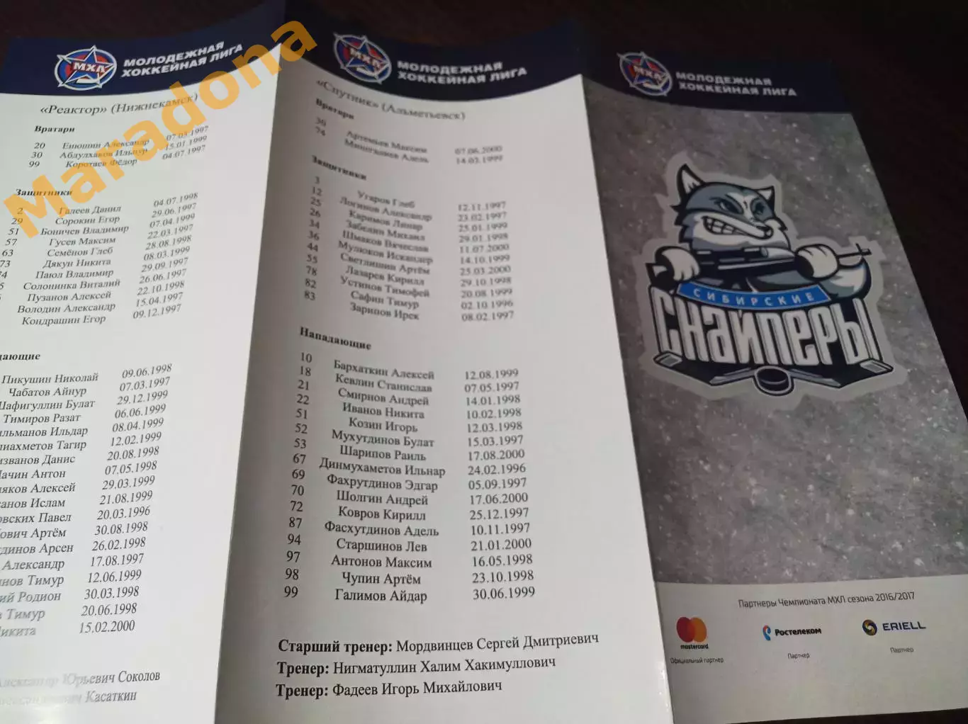 _ Сибирские снайперы - Реактор Нижнекамск + Спутник Альметьевск 2016/2017