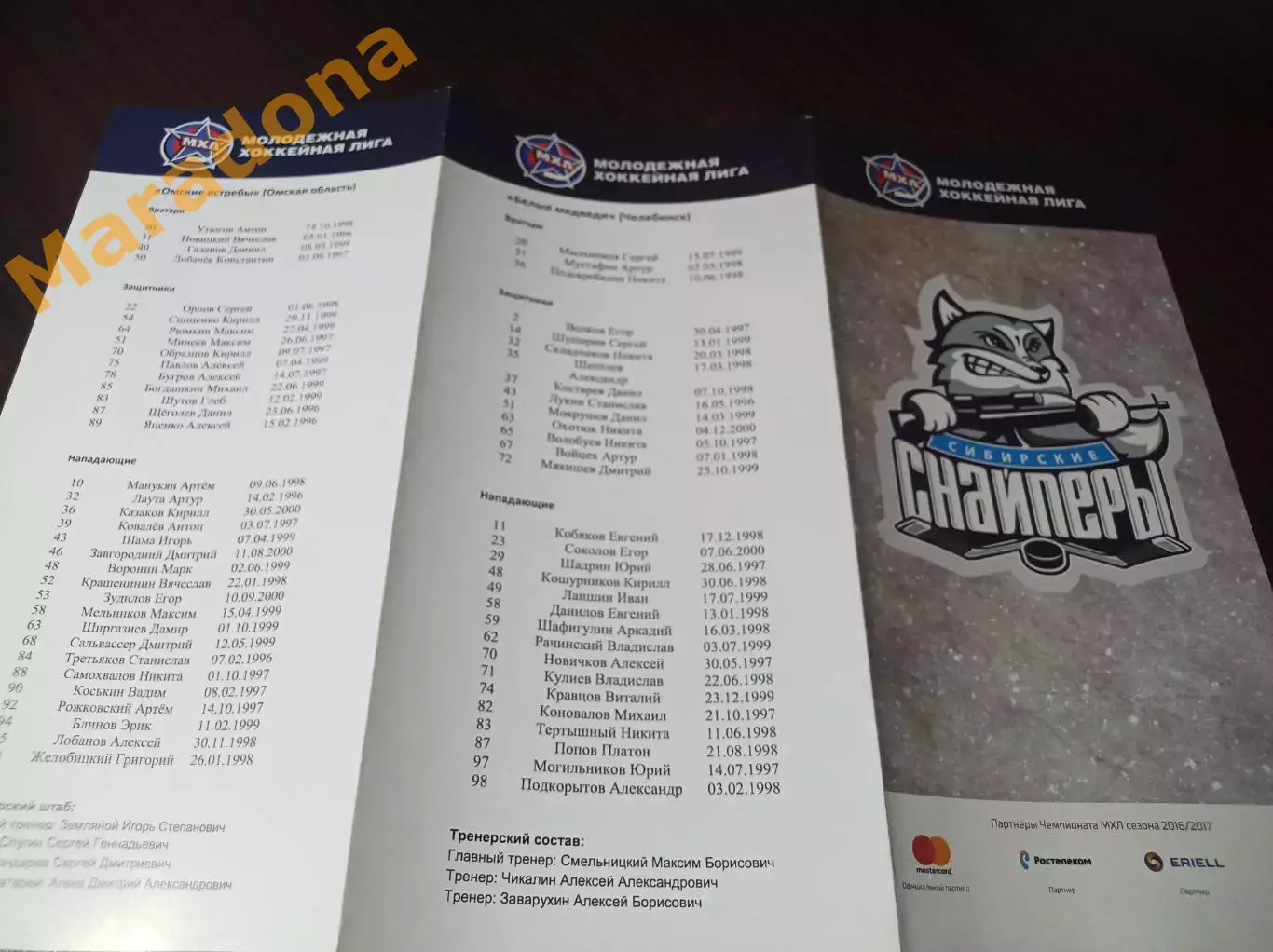 _ Сибирские снайперы - Омске Ястребы + Белые Медведи Челябинск 2016/2017