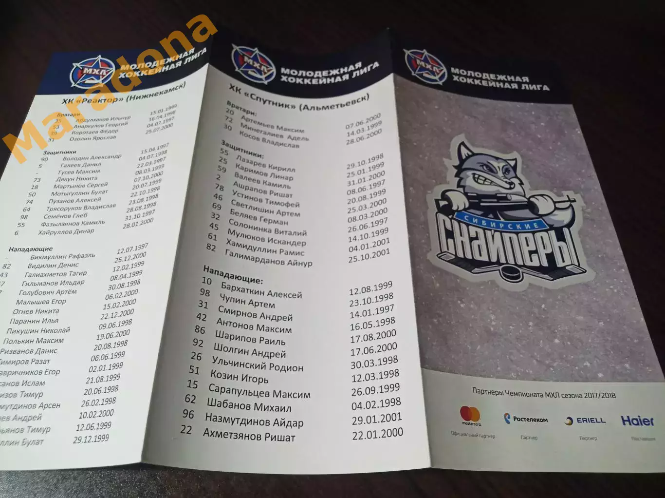 _ Сибирские снайперы - Реактор Нижнекамск + Спутник Альметьевск 2017/2018