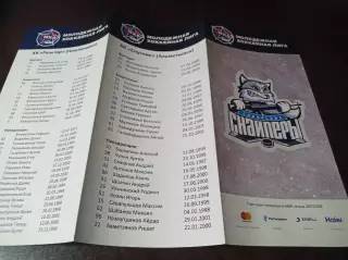 _ Сибирские снайперы - Реактор Нижнекамск + Спутник Альметьевск 2017/2018