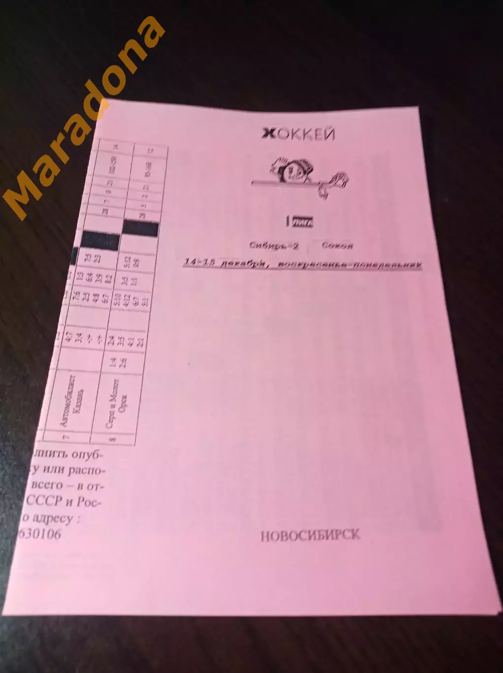 _ Сибирь-2 Новосибирск - Сокол Красноярск 2008/2009 розовая