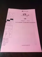 _ Сибирь-2 Новосибирск - Сокол Красноярск 2008/2009 розовая