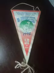 _ Вымпел 15 областные летние сельские спортивные игры 1995 Голышманово