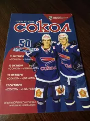 _ Сокол Красноярск - Химик Воскресенск+Рязань-ВДВ+Динамо+СКА-Нева 2023/2024