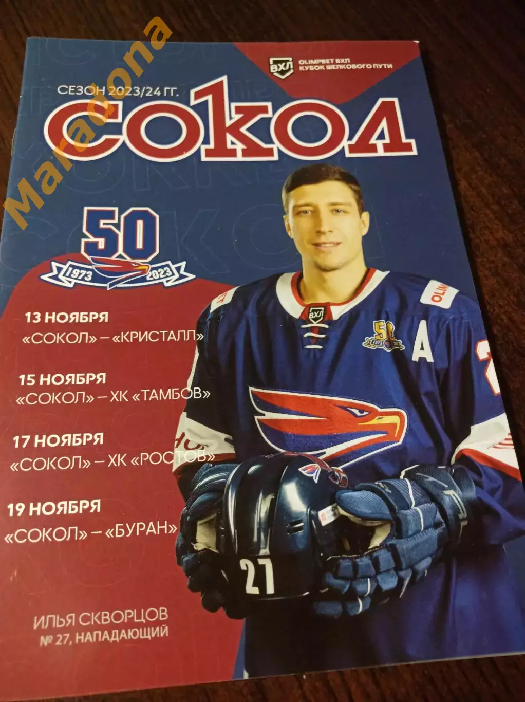 _ Сокол Красноярск - Кристалл Саратов+Тамбов+Ростов+Буран Воронеж 2023/2024