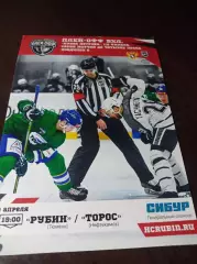 _ Рубин Тюмень - Торос Нефтекамск2018/2019 Плей-офф