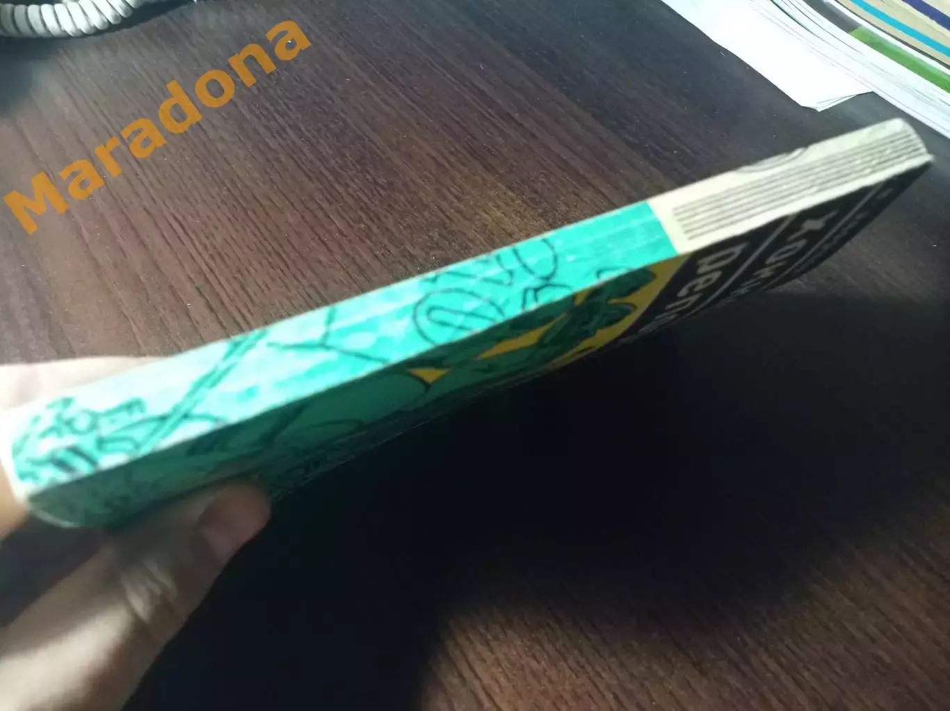 _ В.Дворцов Хоккейный репортаж 1978 Молодая гвардия 2