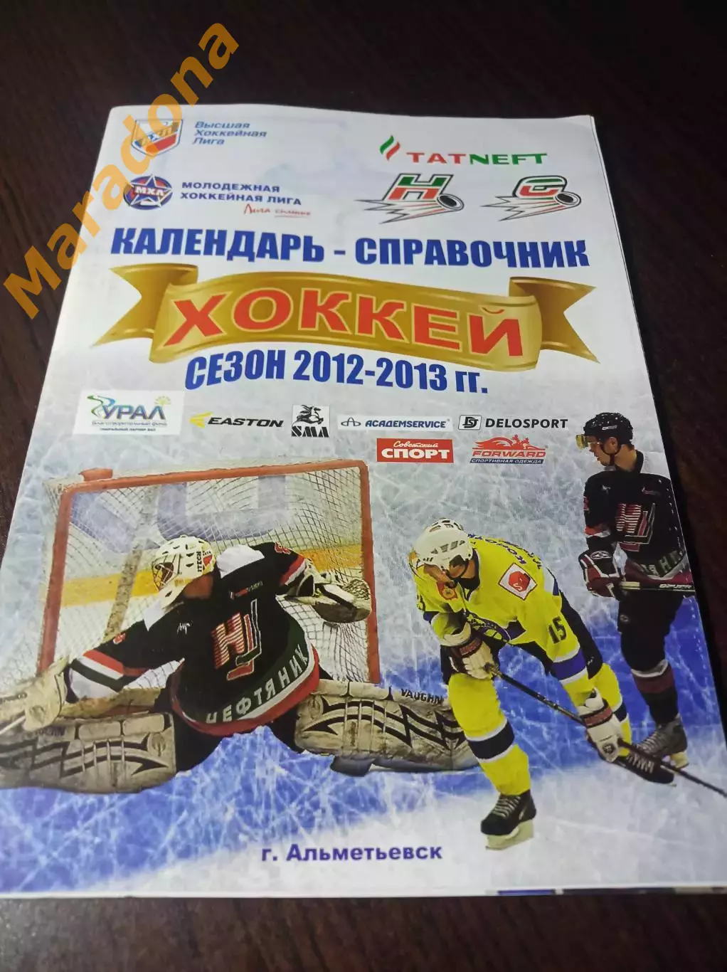 _ Альметьевский хоккей 2012/2013